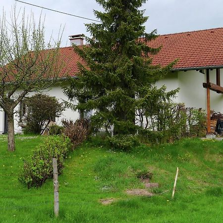 Cosy Apartment In Allg U With Garden Oy-Mittelberg Exterior photo